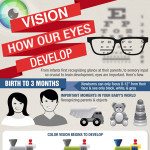 How-our-eyes-develop