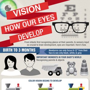 How-our-eyes-develop