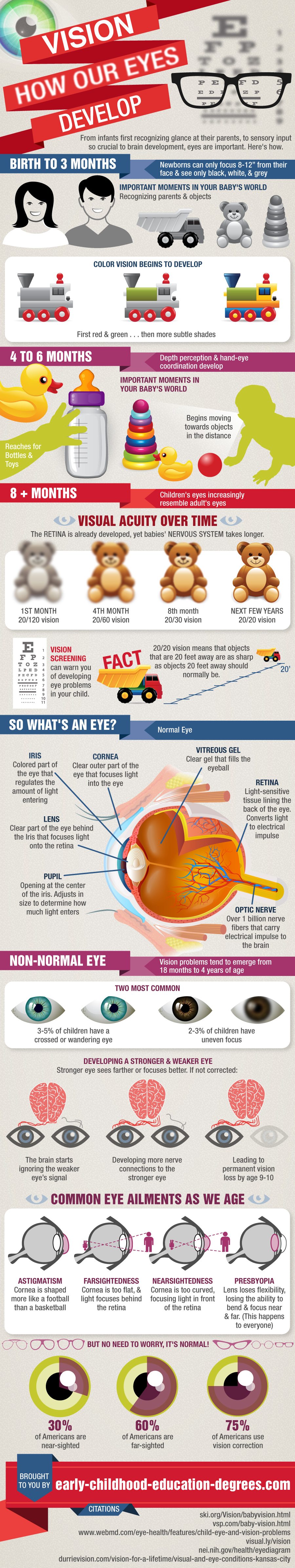 How-our-eyes-develop